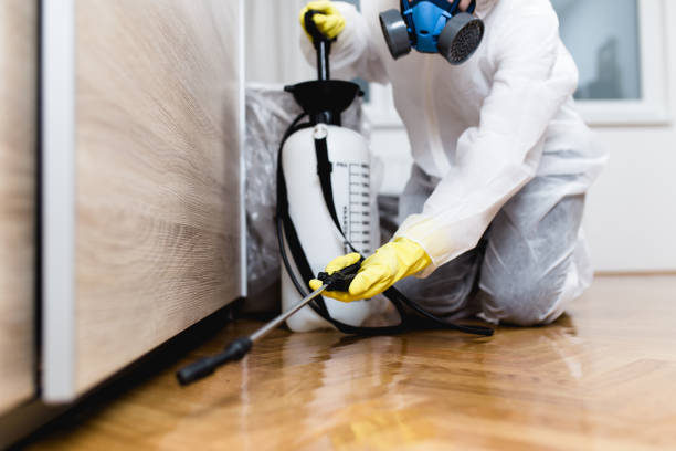 Best Bed Bug Extermination  in Eagle Lake, WI