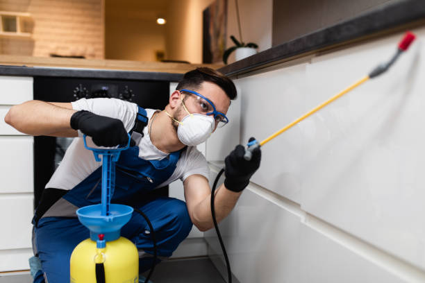 Trusted Eagle Lake, WI Pest Control Experts
