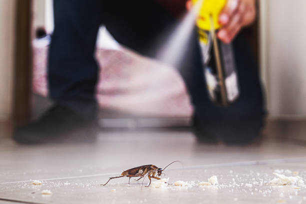 Best Insect Control  in Eagle Lake, WI